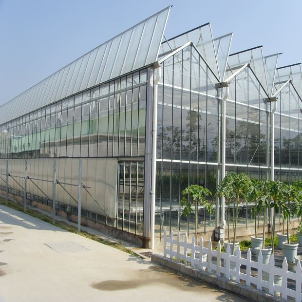 Tunnel Greenhouse For Agricultural Tunnel Greenhouse For Agricultural