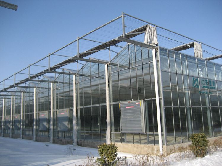 Greenhouses Irrigation Systemss