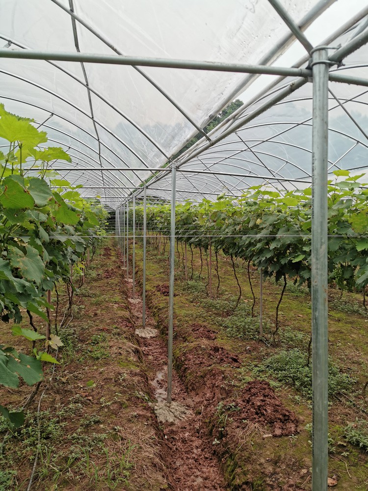 The cost of greenhouse The cost of greenhouse