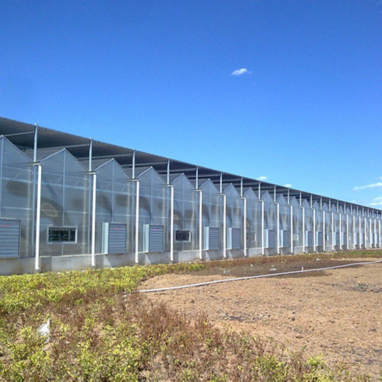 What is the prominent role of the skeleton in the greenhouse project What is the prominent role of the skeleton in the greenhouse project