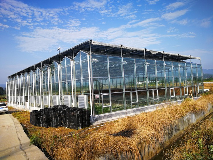 Greenhouse Greenhouse