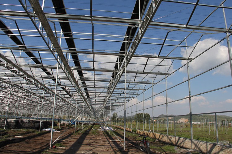 solar greenhouse