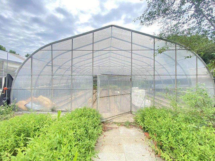 How to adjust the light environment in a solar greenhouse How to adjust the light environment in a solar greenhouse