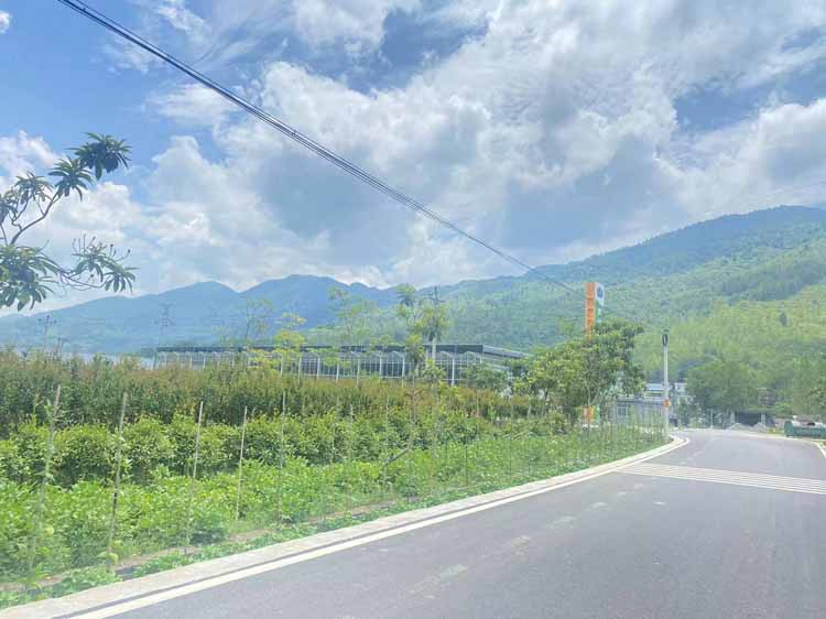 _20220721135503 _20220721135503