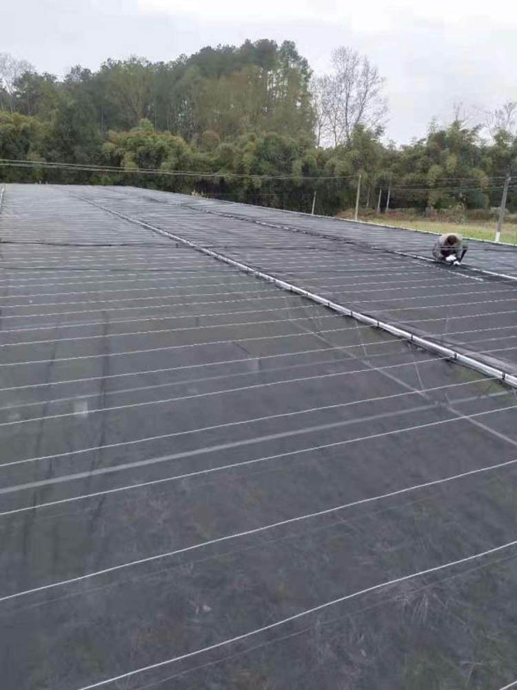 Shading Greenhouse Shading Greenhouse