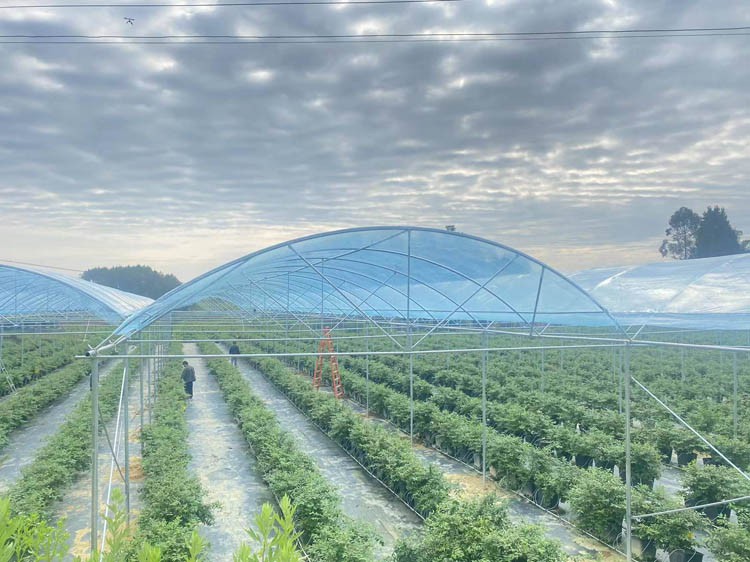 Why is it so hot inside the greenhouse Why is it so hot inside the greenhouse