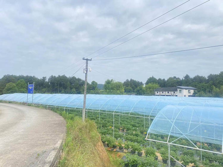 How to build a greenhouse How to build a greenhouse