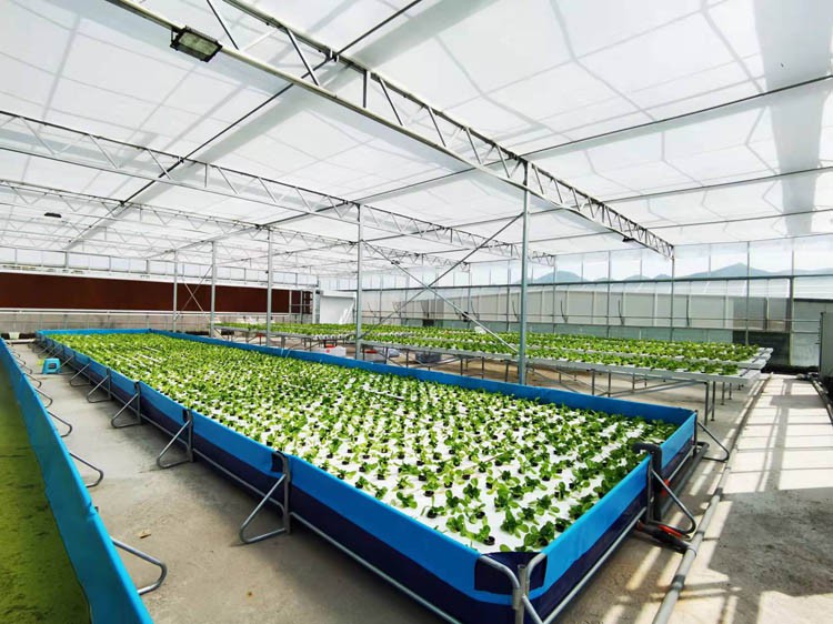 Glass Greenhouse