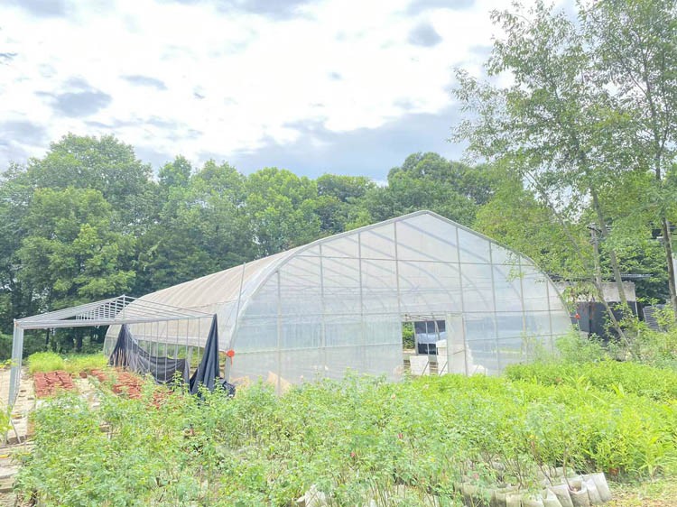 The construction of fully automatic solar greenhouses can save a lot of cost by applying for national agricultural funds