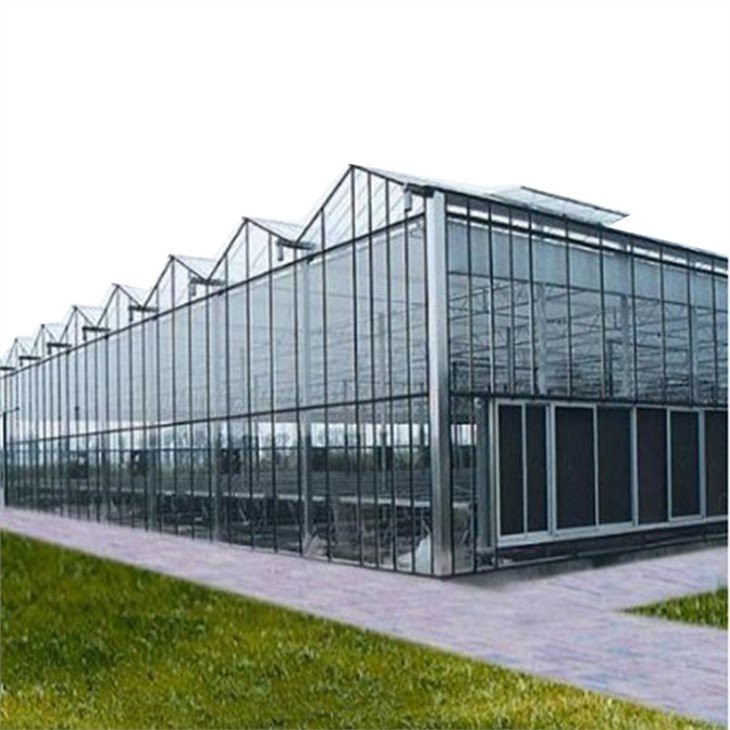 multi span glass greenhouse factory