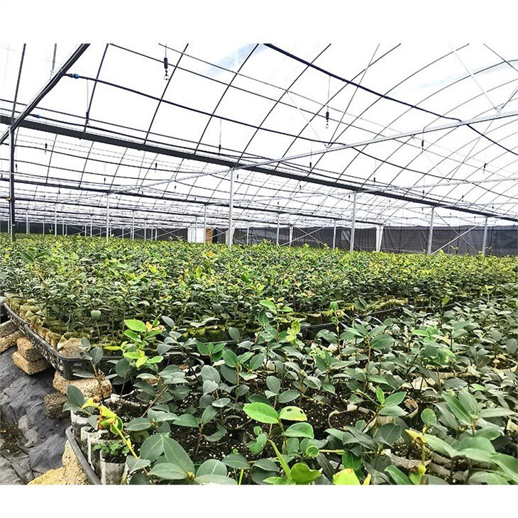 reinforced greenhouse plastic factory
